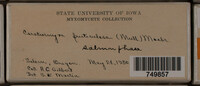Image Associated With the Occurence